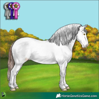 Horse Color:Sable Champagne Blanket 