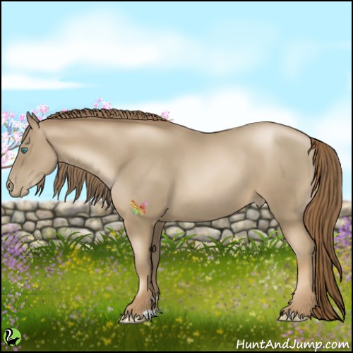 Horse Color:Smoky Black Pearl 