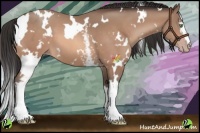 Horse Color:White Spotted Sable Champagne 