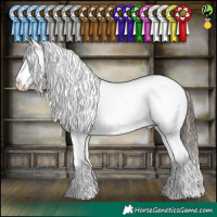 Horse Color:White Spotted Liver Chestnut Appaloosa 