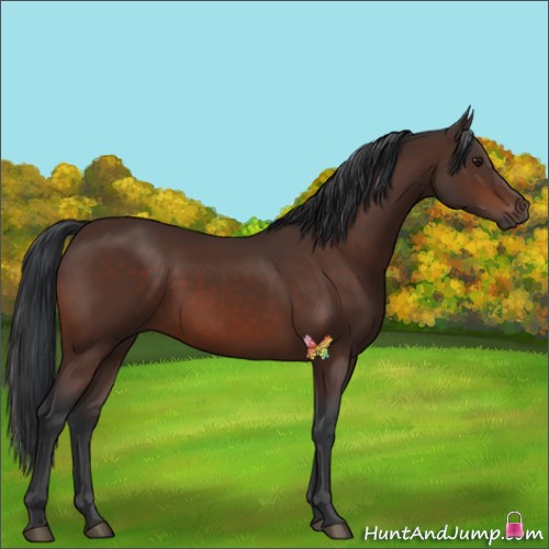 Horse Color:Brown 