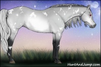 Horse Color:White Spotted Silver Bay Chinchilla 