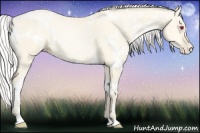 Horse Color:White Spotted Silver Buckskin Chinchilla Pearl