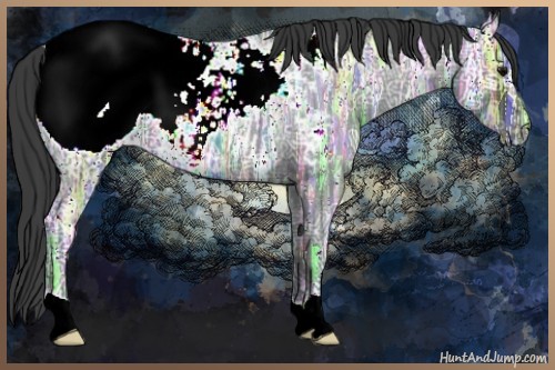 Horse Color:Blue Ice Roan Appaloosa 