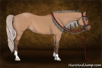 Horse Color:Silver Bay Dun 