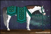 Horse Color:Brown Splash
