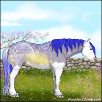 Horse Color:Watercolor Bay Splash 