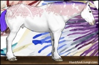 Horse Color:Watercolor White Spotted Buckskin Splash 