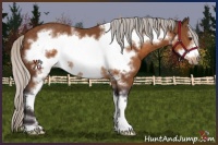 Horse Color:Silver Buckskin Sabino Frame 