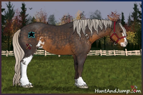 Horse Color:Silver Smoky Black Sabino 