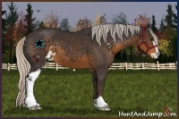Horse Color:Silver Smoky Black Sabino 