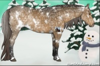 Horse Color:White Spotted Chocolate Palomino Ice Rabicano 