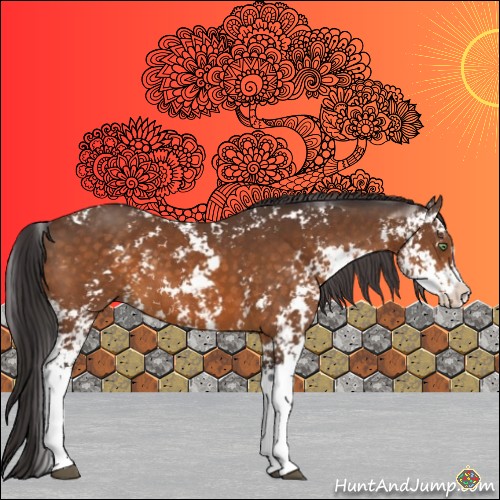 Horse Color:Buckskin Sabino 