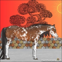 Horse Color:Buckskin Sabino