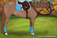 Horse Color:Chestnut Rabicano