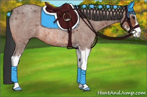 Horse Color:Bay Roan Sabino Rabicano