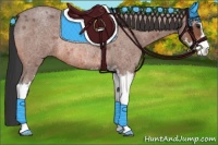 Horse Color:Bay Roan Sabino Rabicano