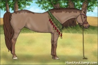 Horse Color:Liver Red Dun 