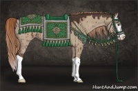 Horse Color:Liver Red Dun Splash 