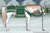 Horse Color:Gold Champagne Dun Sabino Splash 