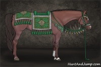 Horse Color:Liver Red Dun Sabino