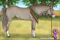 Horse Color:Chocolate Palomino Dun Splash 