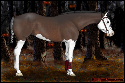 Horse Color:Brown Splash 