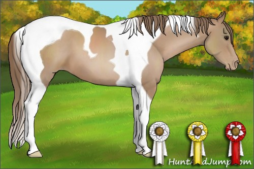 Horse Color:Black Pearl Tobiano 