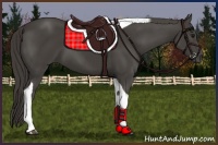 Horse Color:Smoky Black Tobiano 