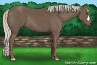 Horse Color:Silver Black 