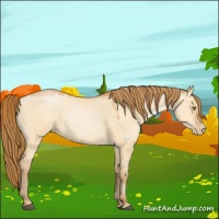 Horse Color:Bay Pearl Dun