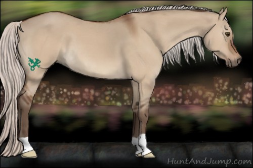 Horse Color:Silver Bay Dun 