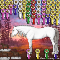 Horse Color:White Spotted Brown Dun Varnish Brindle 