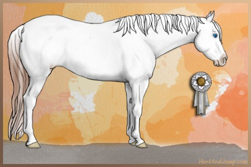 Horse Color:Brown Dun Sabino Splash Appaloosa Brindle