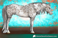 Horse Color:White Spotted Brown Dun Splash Appaloosa Brindle