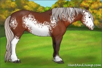 Horse Color:White Spotted Silver Brown Sabino 