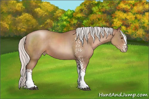 Horse Color:White Spotted Silver Black Pearl Sabino