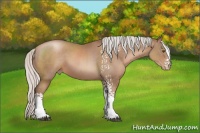 Horse Color:White Spotted Silver Black Pearl Sabino