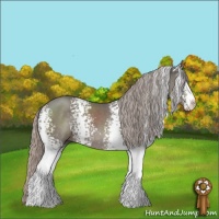 Horse Color:White Spotted Silver Black Sabino 