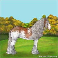 Horse Color:White Spotted Silver Brown