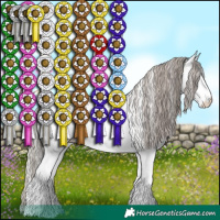 Horse Color:White Spotted Silver Black 