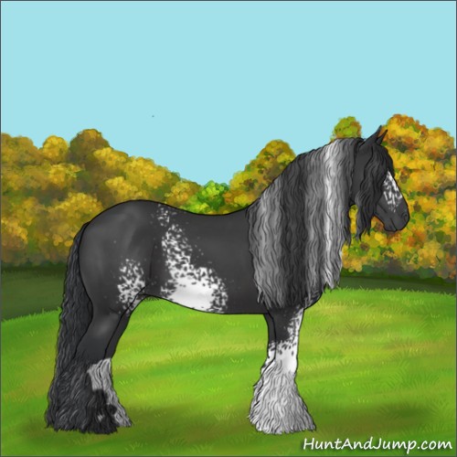 Horse Color:White Spotted Black 