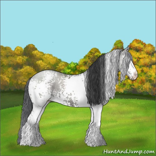 Horse Color:White Spotted Grullo 