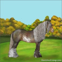Horse Color:White Spotted Silver Smoky Black Sabino 