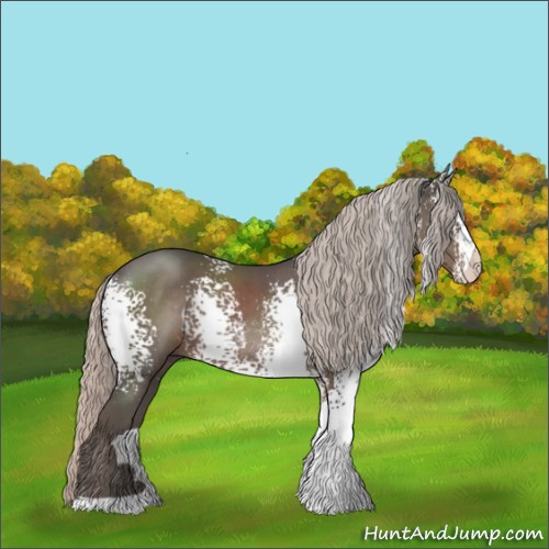Horse Color:White Spotted Silver Black 