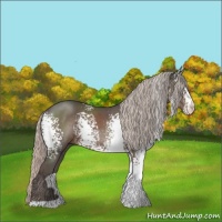 Horse Color:White Spotted Silver Black 
