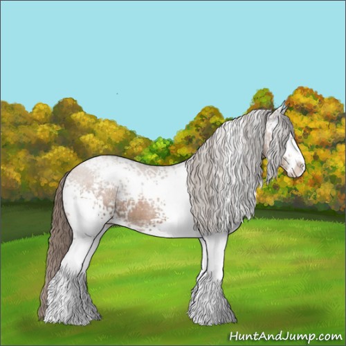 Horse Color:White Spotted Black Pearl Sabino Rabicano 