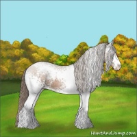 Horse Color:White Spotted Black Pearl Sabino Rabicano