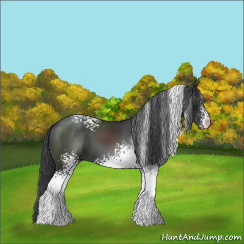 Horse Color:White Spotted Black