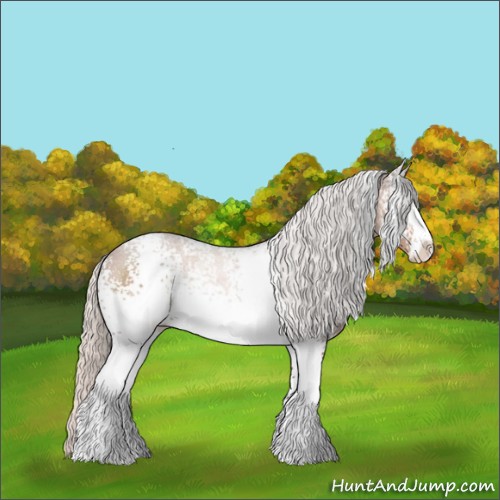Horse Color:White Spotted Silver Brown Sabino Rabicano